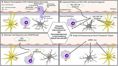 The Effects of Opioids on HIV Neuropathogenesis